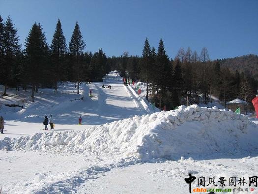 �����zӰ��Ʒ[�M�D]