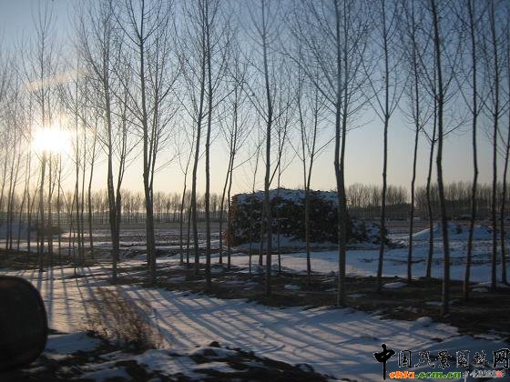 �����zӰ��Ʒ[�M�D]