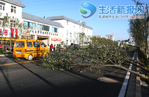 ������һ��L���^ ����20���е���