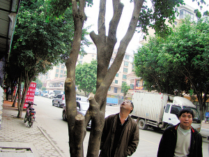 �@�þG����(sh��)�ѱ�䏵��˘�(sh��)֦��