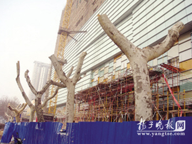 ���K��悽�17���е����B�⡰���ס�