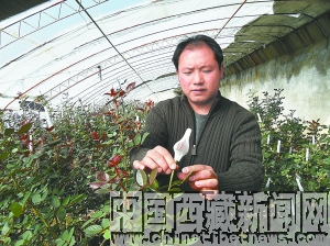 ���_�����س��a(ch��n)��300�f֦����ܰ���N���Ჴ��