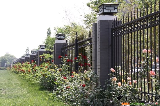 �¼�����