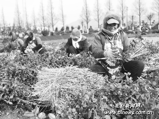 �����������f���÷ ���Aӆһ���u����