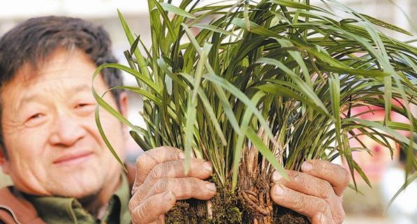 ���գ���ꖻ��� �����m���������N