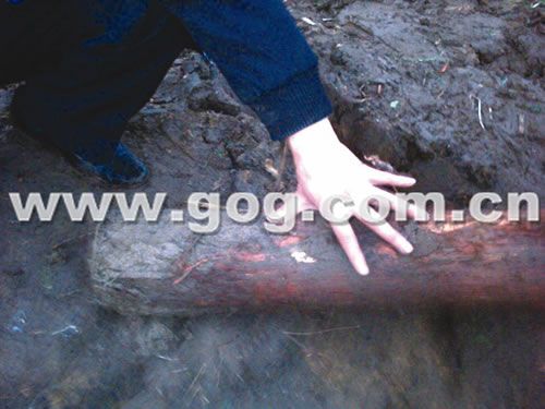 �_�l�̾G������һƬ���o���䡱 ���Q����_�֡�