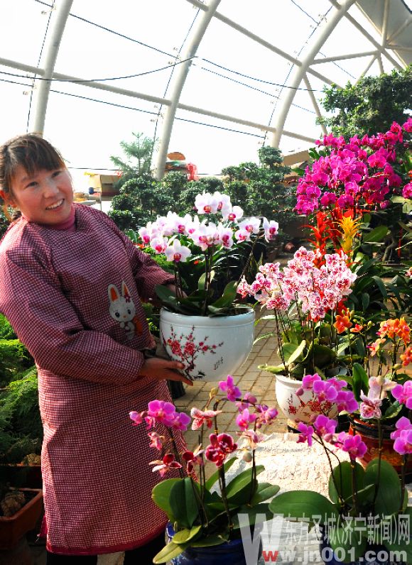 ��(j��)�������ش������� ��ľ���ܘI(y��)��l(f��)չ