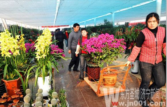 ��(j��)�������ش������� ��ľ���ܘI(y��)��l(f��)չ