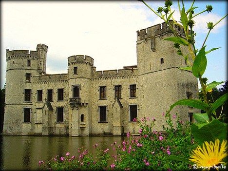 �����r����ֲ��@