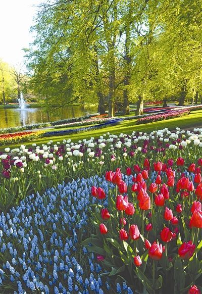 ���m����(k��)�ϻ��򹫈@�l(f��)���������Ո(q��ng)