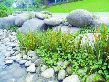 �Ϻ��������@�����p��(�M�D)