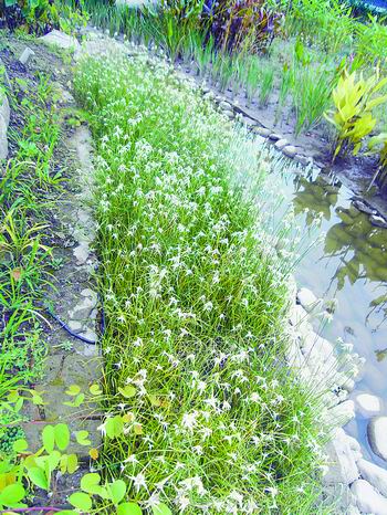 �Ϻ��������@�����p��(�M�D)