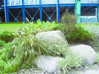 �Ϻ��������@�����p��(�M�D)