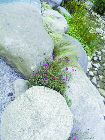 �Ϻ��������@�����p��(�M�D)