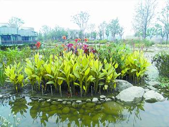 �Ϻ��������@�����p��(�M�D)