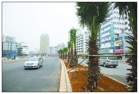 ��һ݆���н��O͹�@������ɫ���M�D��