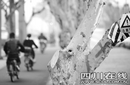 ��ɰ�ȫ�[���Ę�(sh��)֦�ѱ�䏔�