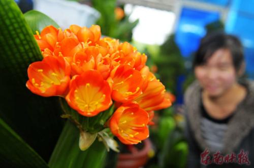 ��ʢ�_�ľ����m�����������Ŀ�⡣