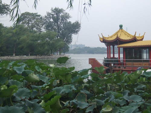 �������L��