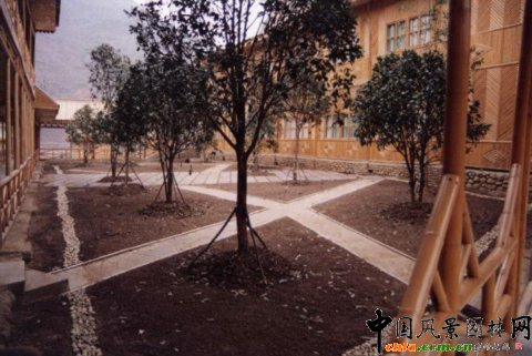 �F����V���Ŀ