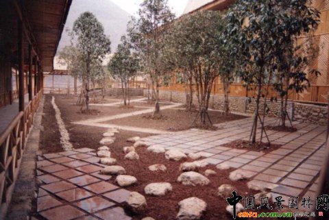 �F����V���Ŀ