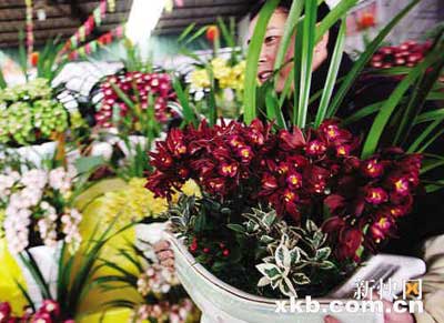 �����Ĵ��dꖡ�������������"���ԏ�"��