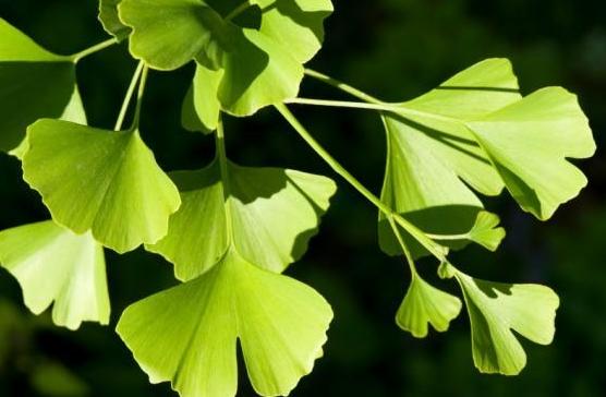 ꖹ��е��y���~��Сˮ���������y�Ӻ��ɘ��@⻬���~���ϣ��Ͳ��������~ȼ����