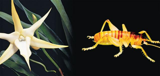 �ƌW����ӡ����������u���@�ذl�F����һֱ�ڽoһ�N�m������