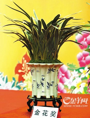 �������Ї�(gu��)���Ի��ܽ��ו�(hu��)�x�������𻨡�