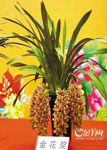 �������Ї�(gu��)���Ի��ܽ��ו�(hu��)�x�������𻨡�