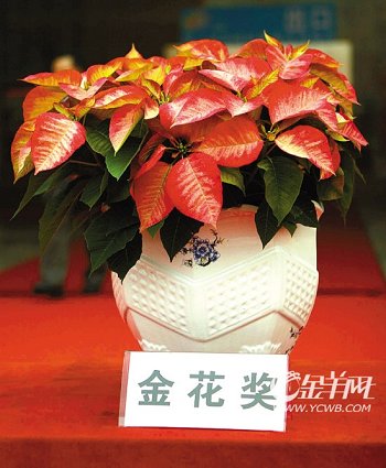 �������Ї�(gu��)���Ի��ܽ��ו�(hu��)�x�������𻨡�