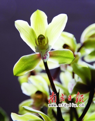 ����������(ji��n)��(qi��ng)���F(xi��n)�����