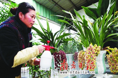 ����������(ji��n)��(qi��ng)���F(xi��n)�����