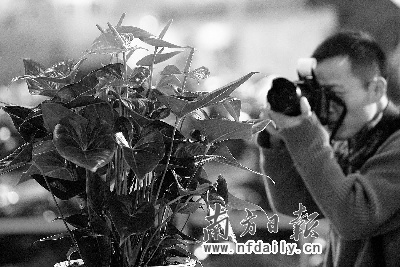 �Ї�(gu��)������(hu��)�_(k��i)Ļ