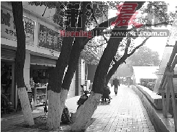 �Lɳ���l����ܽ��·�����̥������