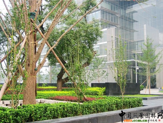 �P���V��--�G�����^