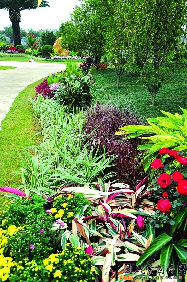 �V�|�ؙ������ڵڶ����Ϸ��G����ϲ�@��헴�