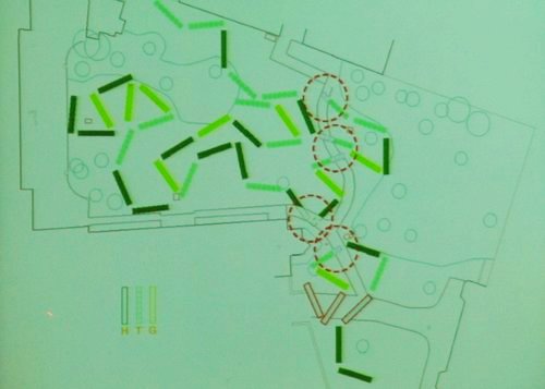 Martha Schwartz�OӋ����