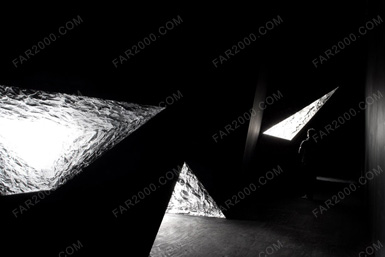 Martha Schwartz�OӋ����