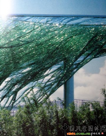 Masha Schwartz�OӋ����