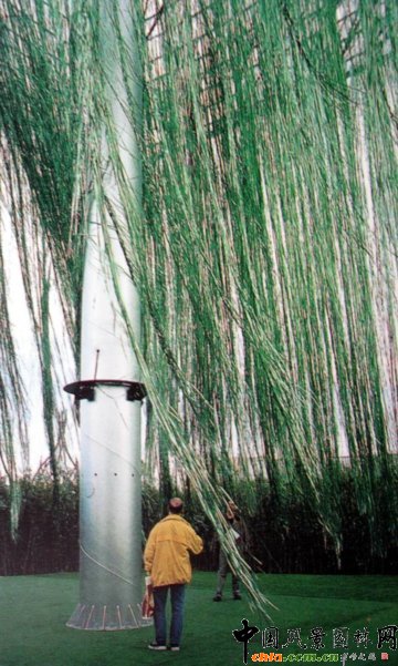 Masha Schwartz�OӋ����