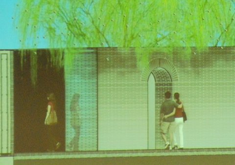 Masha Schwartz�OӋ����