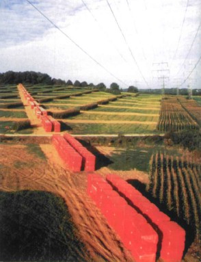 Masha Schwartz�OӋ����