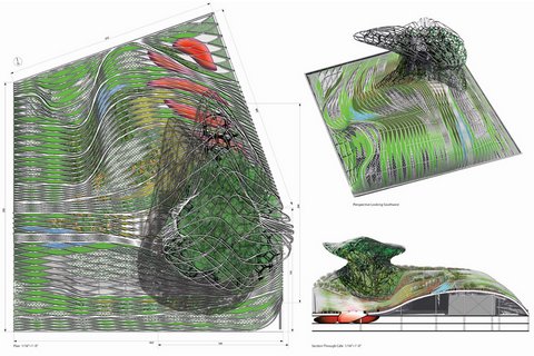 Masha Schwartz�OӋ����