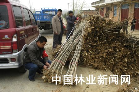 �D���(y��n)���ˆT��ԓ�h�����(zh��n)�(y��n)�՗����