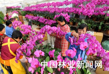 ̩��ϲ�N������