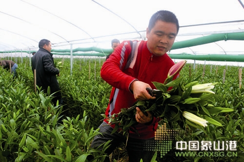 ���˂��ڲɼ��r�л�