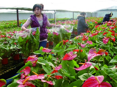 ɽ�|������������������� ��ʡ�������́��M(j��n)؛