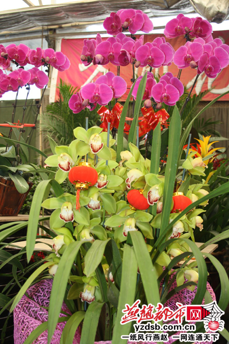 ���G���εĺ����m����ޥ�m