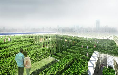 ����(gu��)��(gu��)���^Ч���D